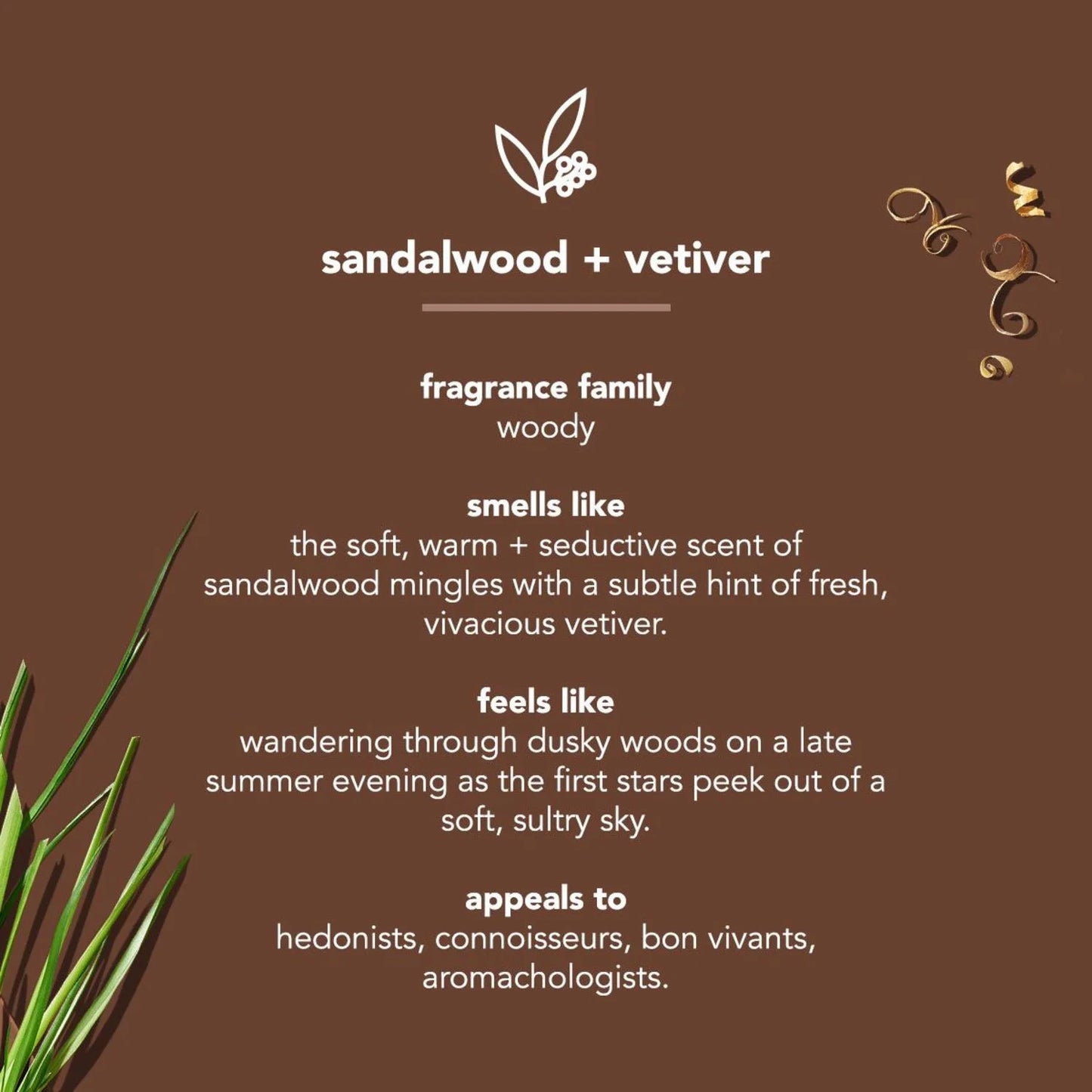 Sandalwood + Vetiver Body Wash